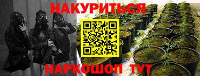 PSILOCYBIN Дубна