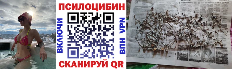 MEGA   Нижневартовск  Псилоцибиновые грибы мухоморы 