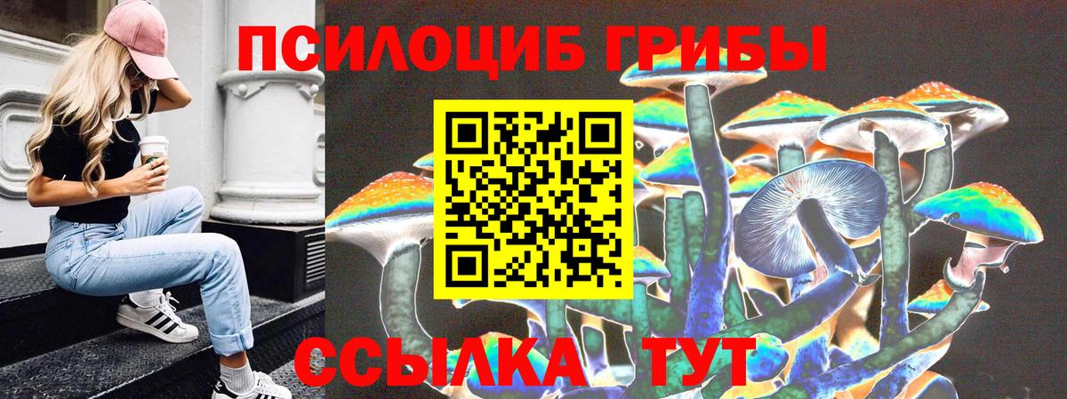 Нижневартовск  Галлюциногенные грибы Cubensis  Галлюциногенные грибы прущие грибы  Вход с VPN 